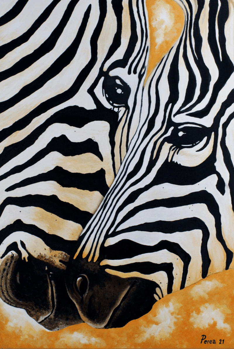 Artistic depiction of two zebras with black and white stripes on a yellow background.